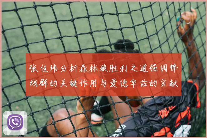 张佳玮分析森林狼胜利之道强调锋线群的关键作用与爱德华兹的贡献