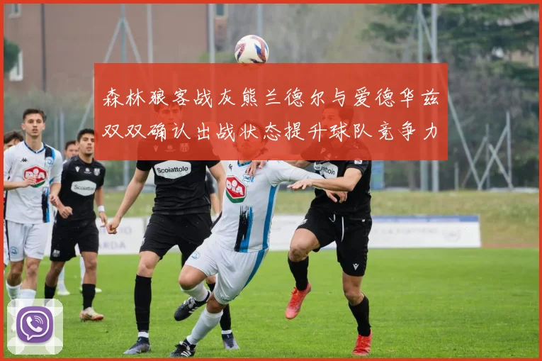 森林狼客战灰熊兰德尔与爱德华兹双双确认出战状态提升球队竞争力
